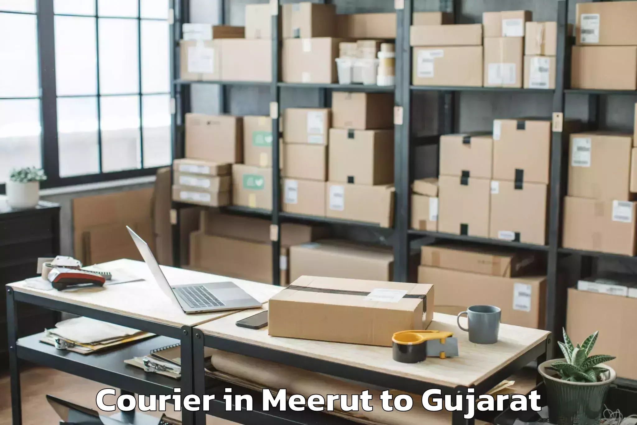 Leading Meerut to Abhilashi University Surat Courier Provider